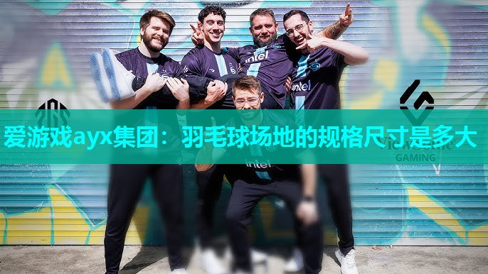 羽毛球场地的规格尺寸是多大 羽毛球场地的规格尺寸是多大